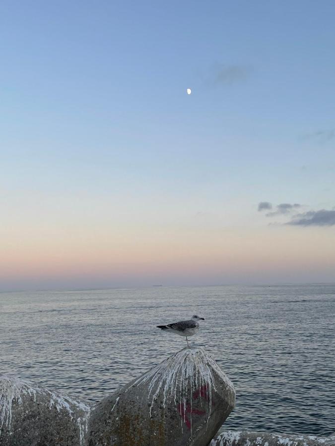 O Som Das Ondas - Vista Soberba De Mar Sesimbra Dış mekan fotoğraf